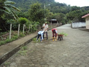 DSC03727