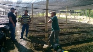 SOCIALIZACION CON EL TECNICO DEL PROYECTO MAE